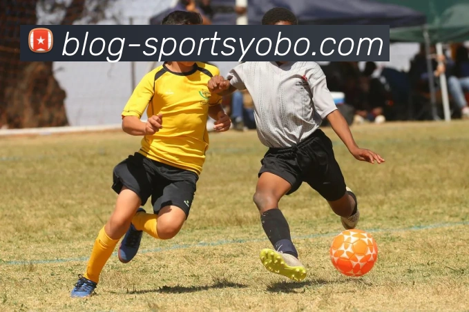 yobo体育服务体系